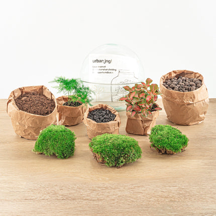 Planten terrarium - DIY - Dome Red - Ecosysteem plant - ↑ 20 cm