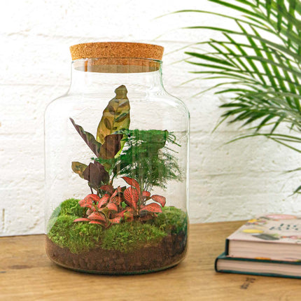 Planten terrarium - Milky - Ecosysteem plant - ↑ 30 cm